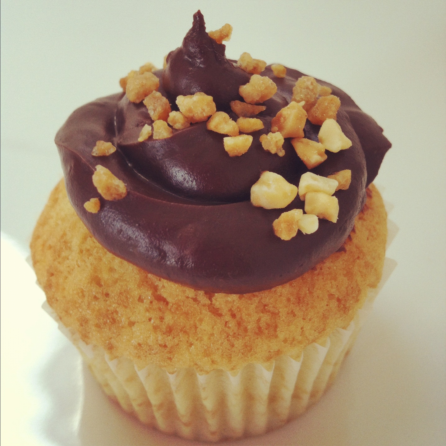 Boticake CUPCAKES DE VAINILLA Y CHOCOLATE/ VANILLA & CHOCOLATE CUPCAKES